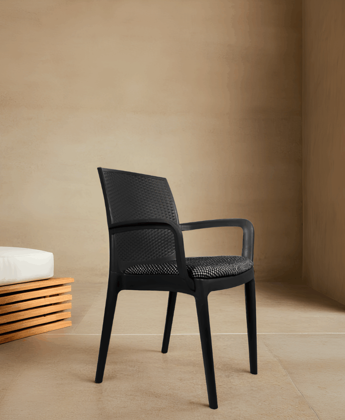 Alpha Chair With Cushion and Arm