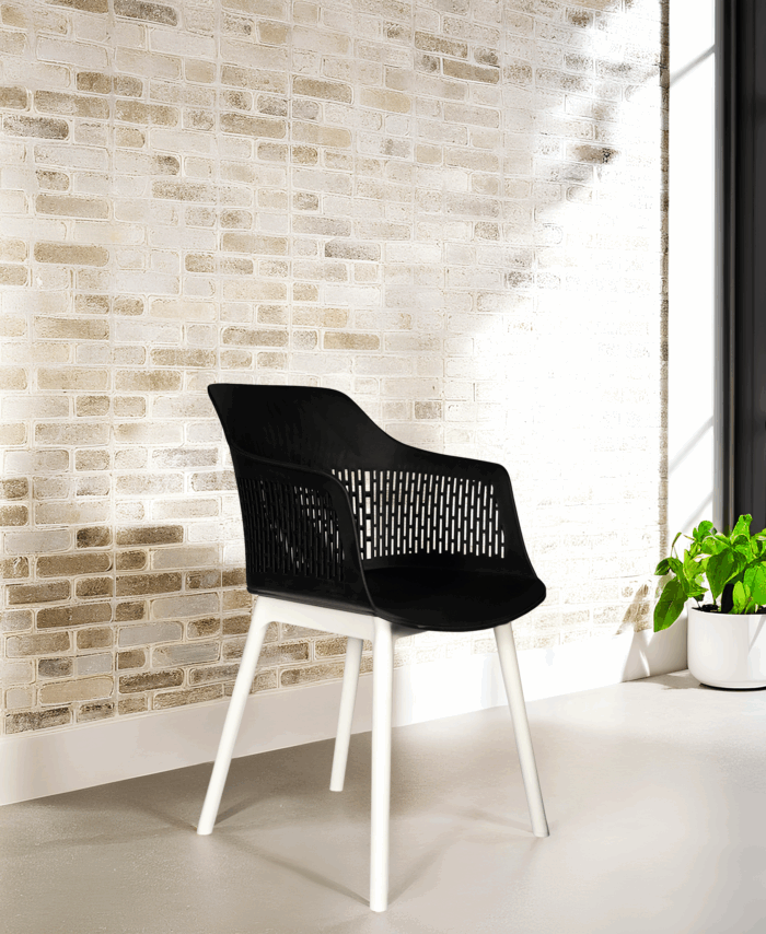 Austria Chair With White Legs